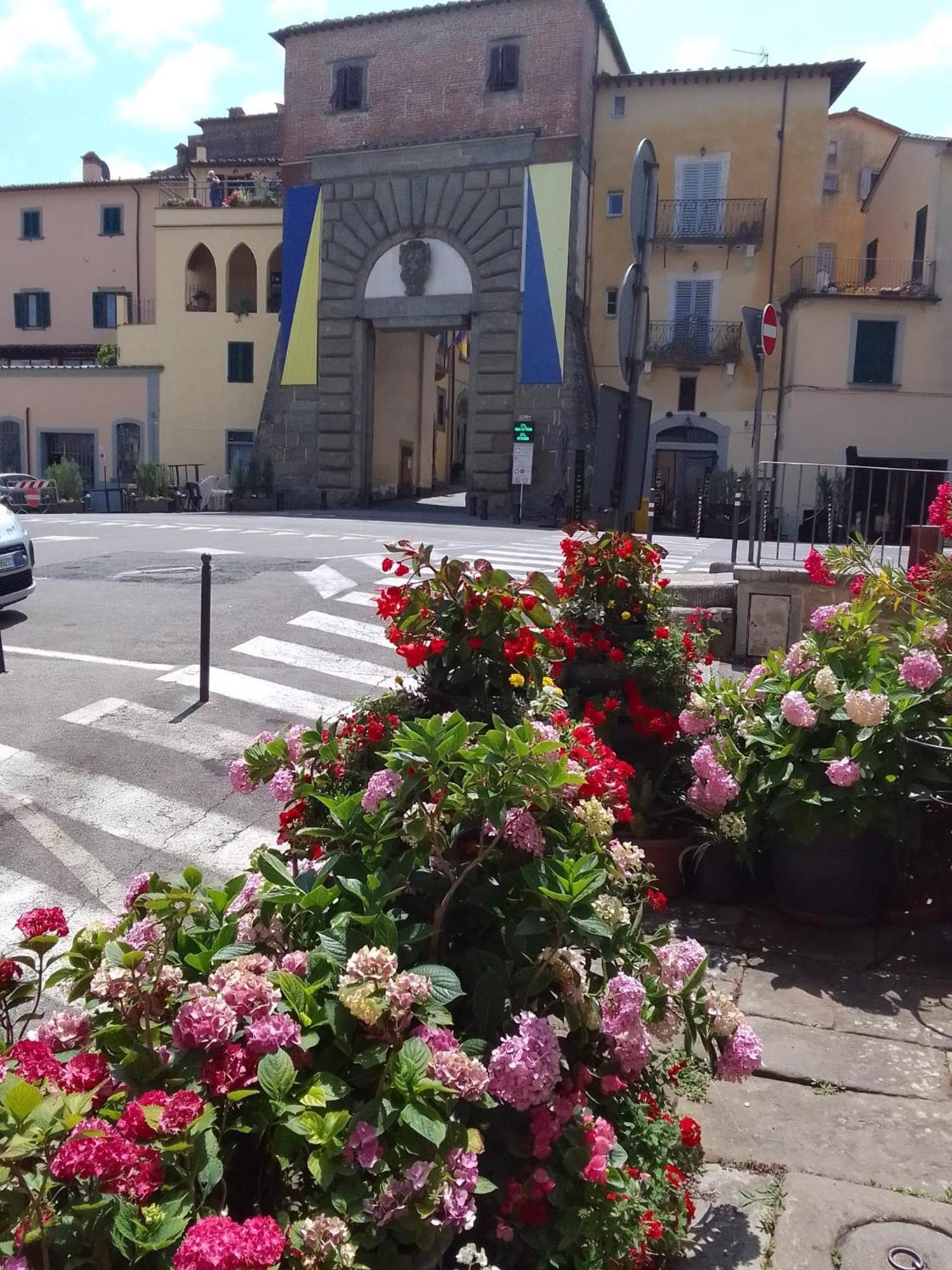 Dalla Carla In Toscana Монте Сан Савино Екстериор снимка